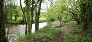 Respirer, marcher, s'évader