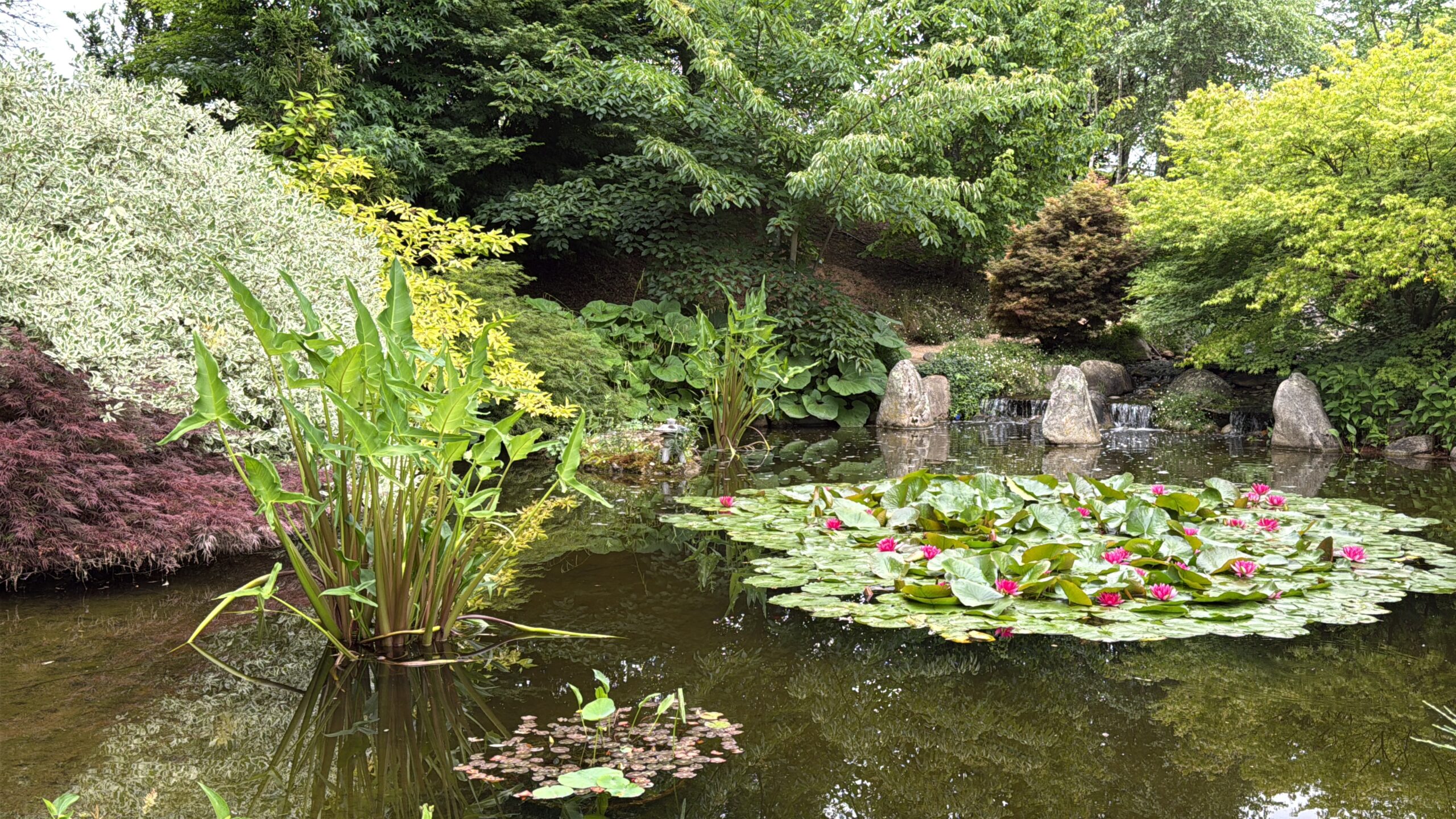 Les plus beaux jardins du Périgord