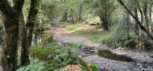 Randonnée en Périgord